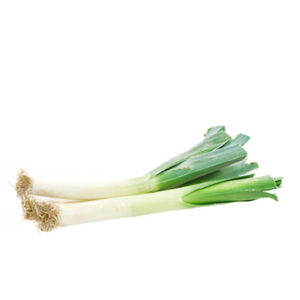 Leek