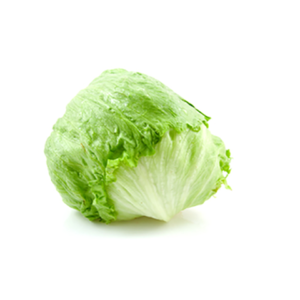 Lettuce, Iceberg