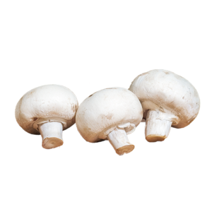 Mushroom, White, B grade
