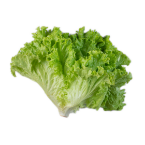 Lettuce, Green Leaf