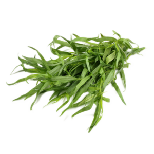 Herb – Tarragon