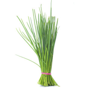 Herb – Chives