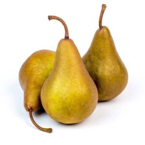 Pears, Bosc