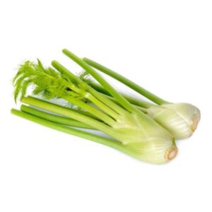 Fennel