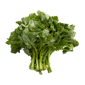 Rapini