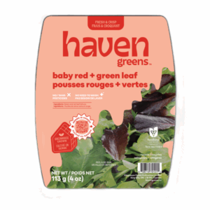 Baby Leaf Lettuce, Red & Green