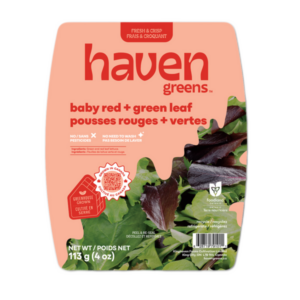 Baby Leaf Lettuce, Red & Green